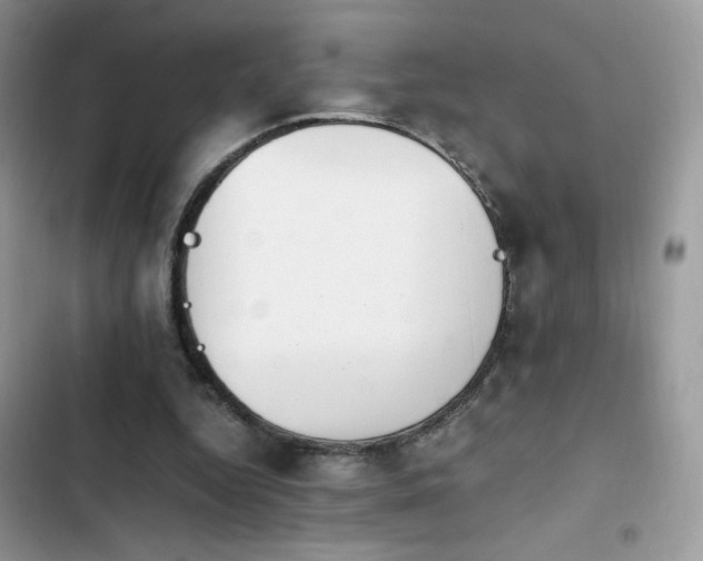 X0000103940344200809191422