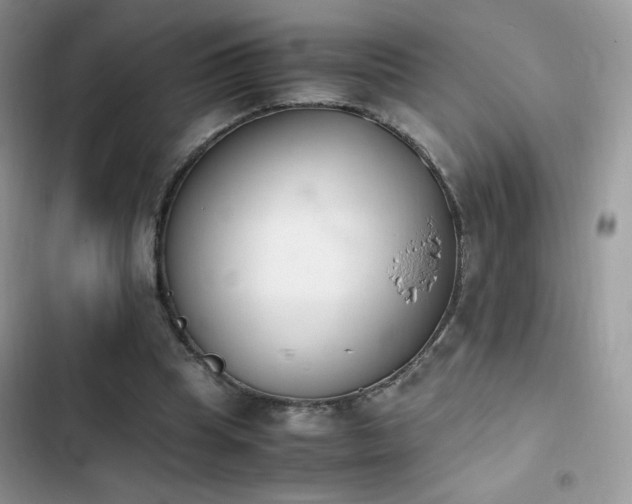 X0000103940345200809191422