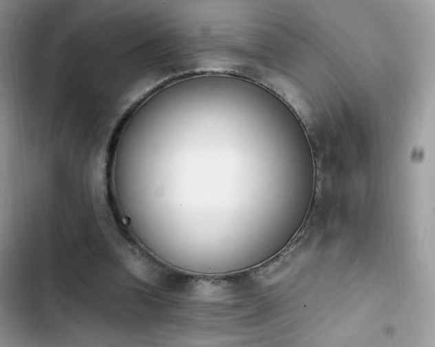 X0000103940346200809191422