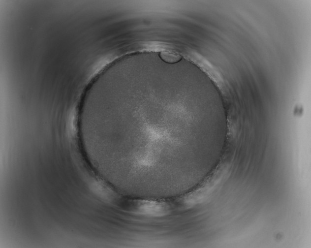 X0000103940347200809191422