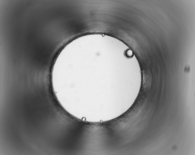 X0000103940348200809191422