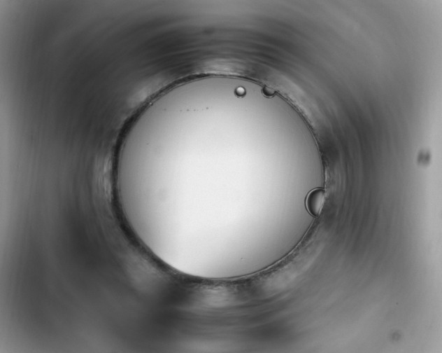 X0000103940349200809191422