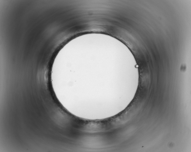 X0000103940350200809191422