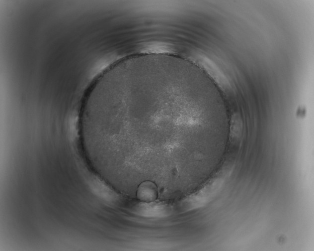 X0000103940351200809191422