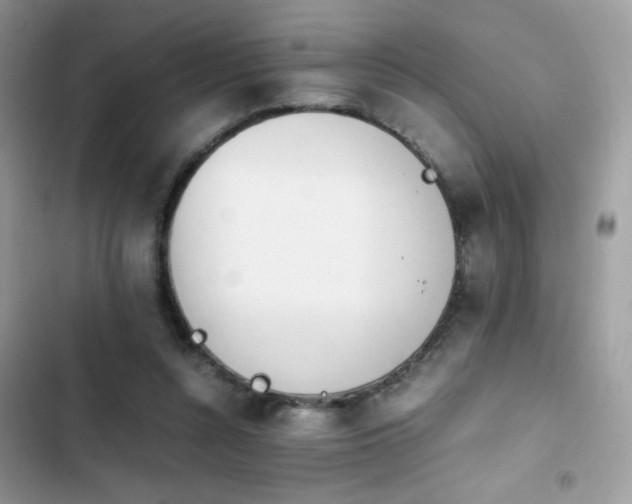 X0000103940352200809191422