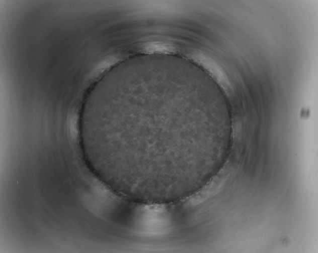 X0000103940353200809191422