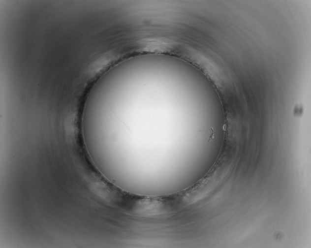 X0000103940354200809191422