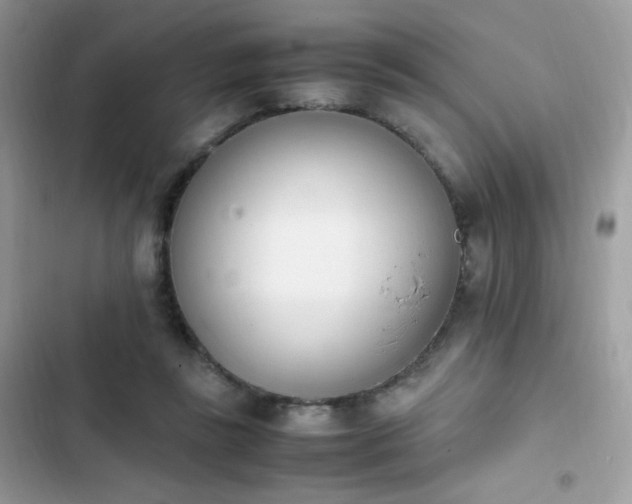 X0000103940355200809191422