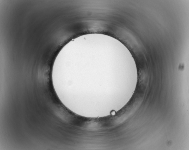 X0000103940356200809191422