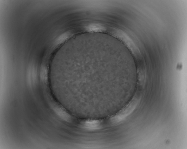 X0000103940357200809191422