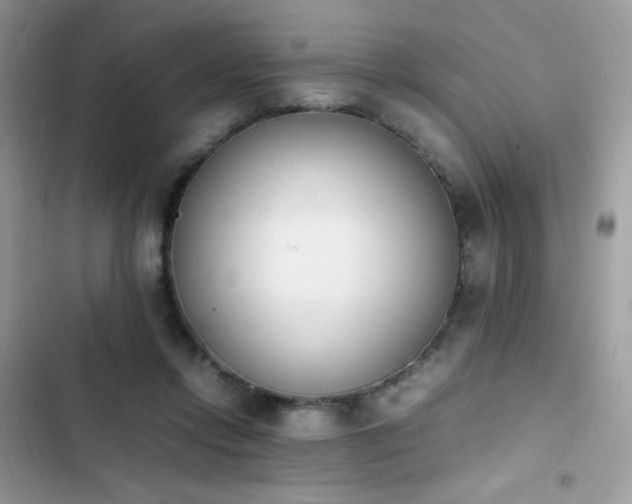 X0000103940358200809191422