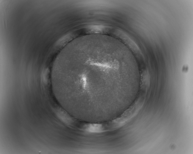 X0000103940361200809191423