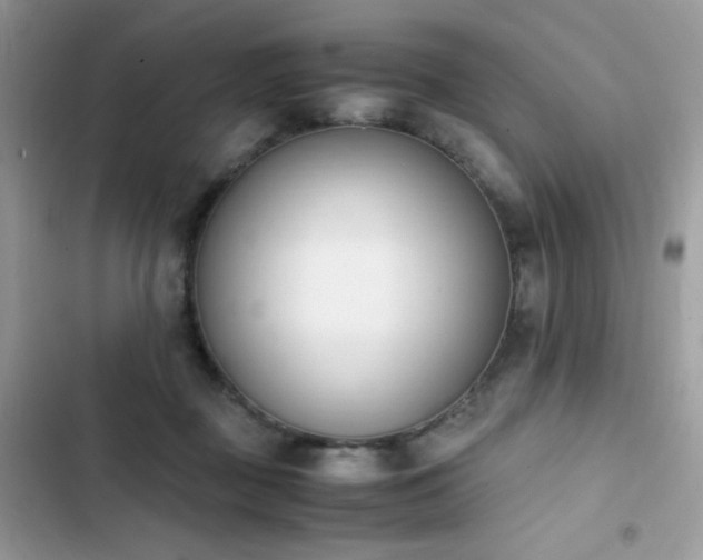 X0000103940363200809191423