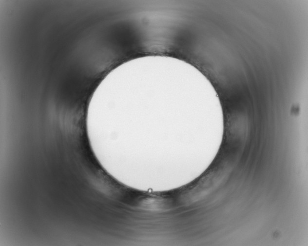 X0000103940364200809191423