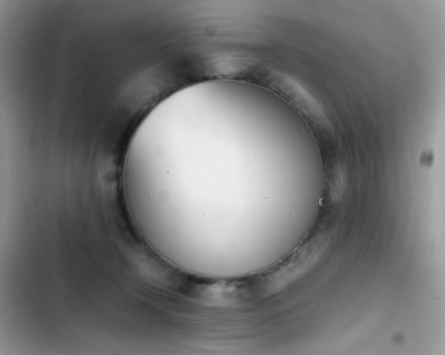 X0000103940366200809191423