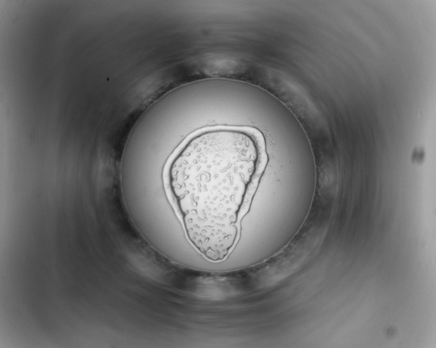 X0000103940367200809191423