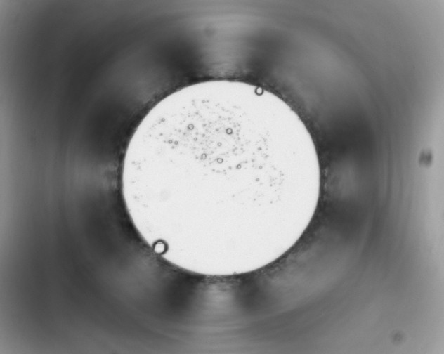 X0000103940368200809191423