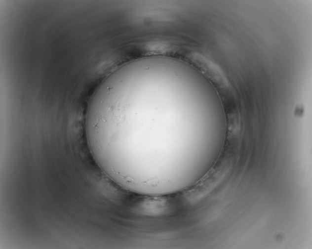 X0000103940369200809191423