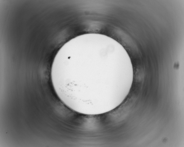 X0000103940370200809191423