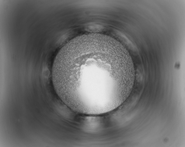 X0000103940371200809191423