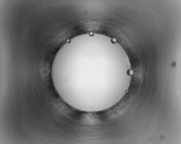 X0000103940372200809191423