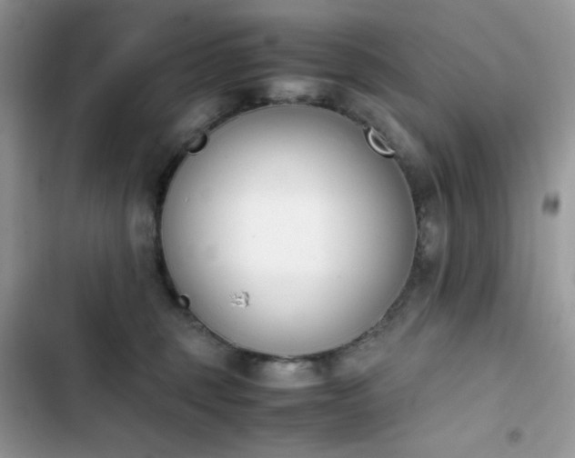 X0000103940375200809191423