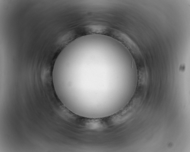 X0000103940377200809191423