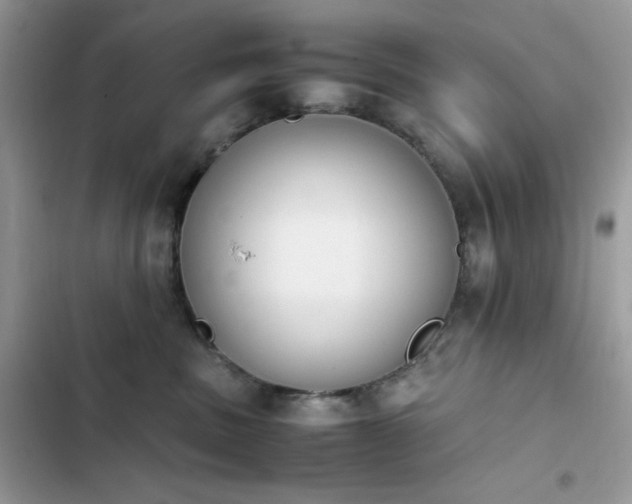 X0000103940379200809191423