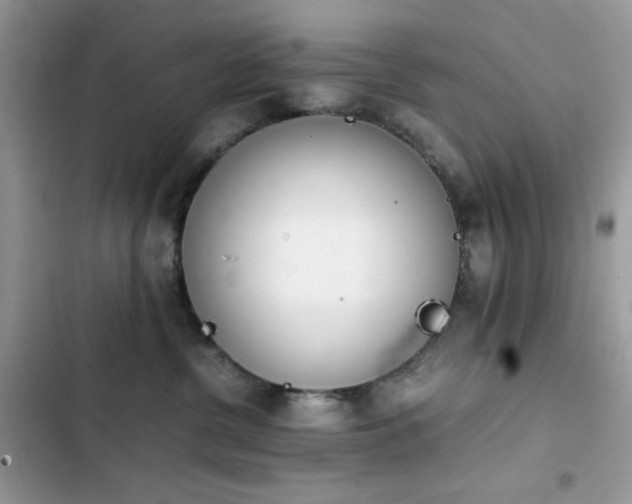 X0000103940380200809191423