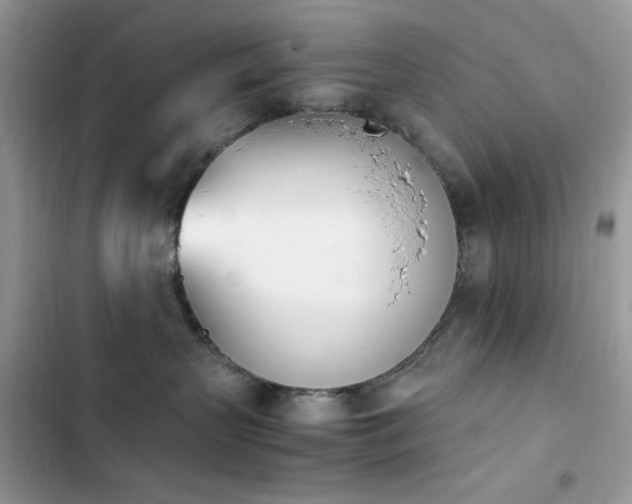 X0000103940383200809191423