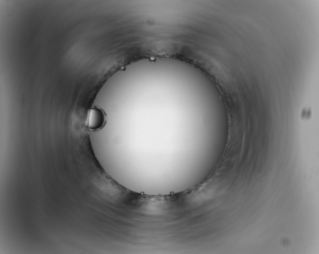 X0000103940384200809191423