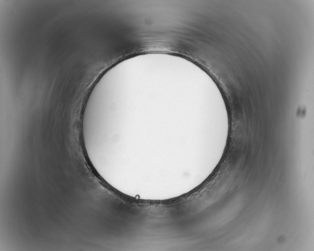 X0000103940385200809191422