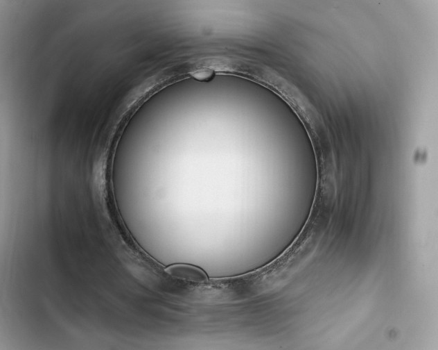 X0000103940386200809191422