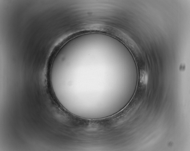 X0000103940388200809191422