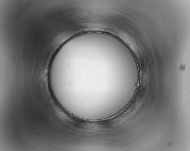 X0000103940389200809191422