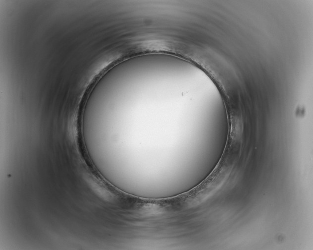X0000103940390200809191422
