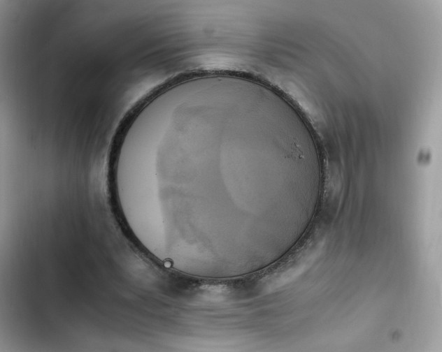 X0000103940391200809191422