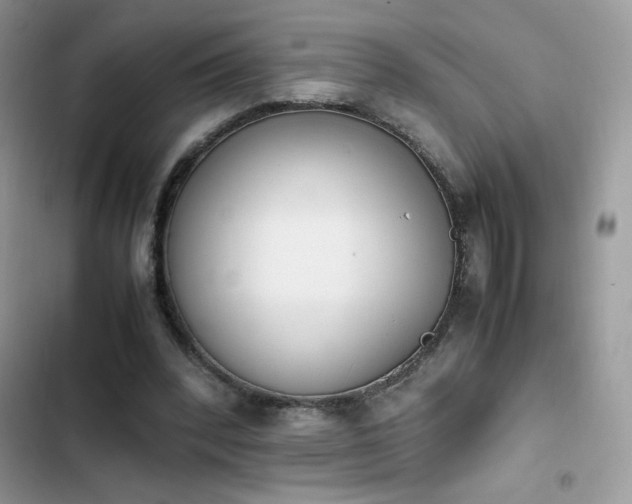 X0000103940392200809191422