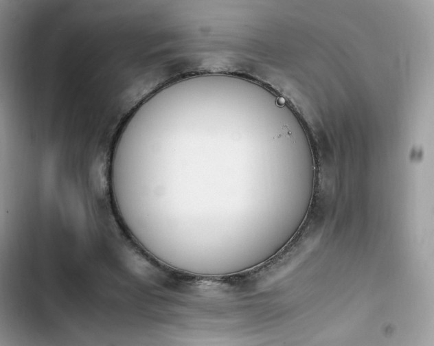 X0000103940393200809191422