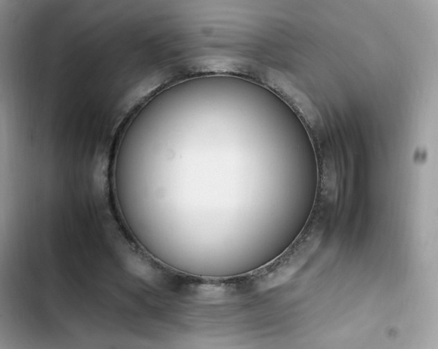 X0000103940394200809191422