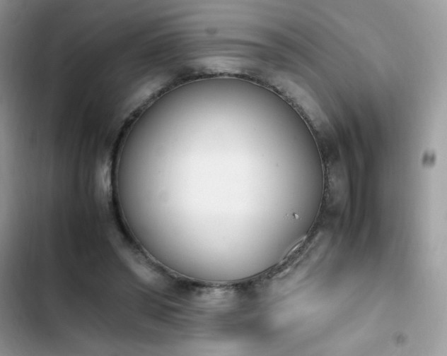 X0000103940398200809191422