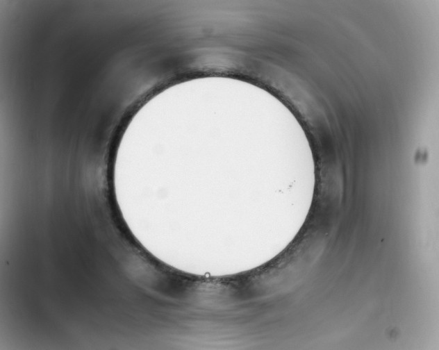 X0000103940399200809191422