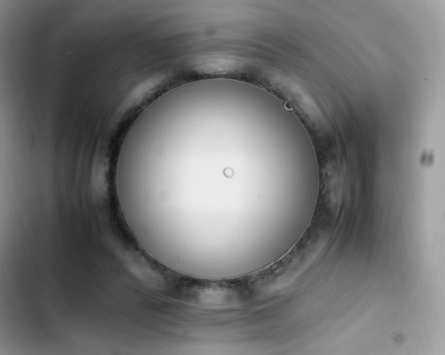 X0000103940400200809191422
