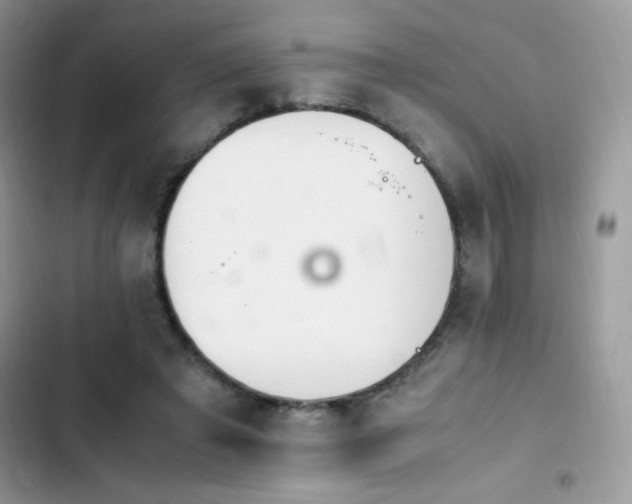 X0000103940401200809191422