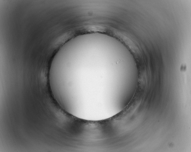 X0000103940402200809191422