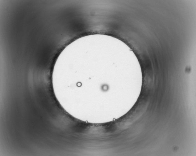 X0000103940403200809191422