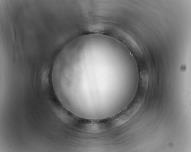 X0000103940404200809191422