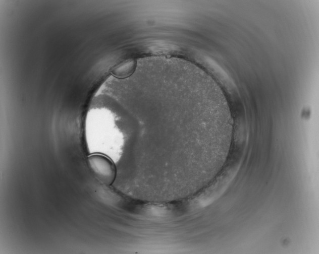 X0000103940405200809191422