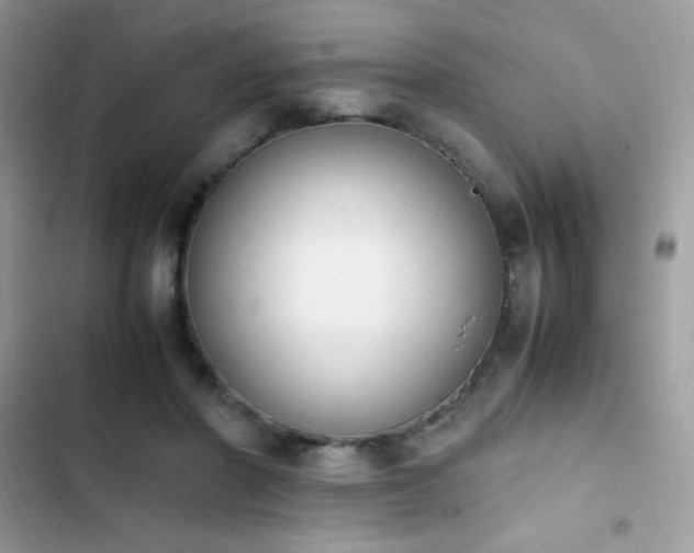 X0000103940406200809191422