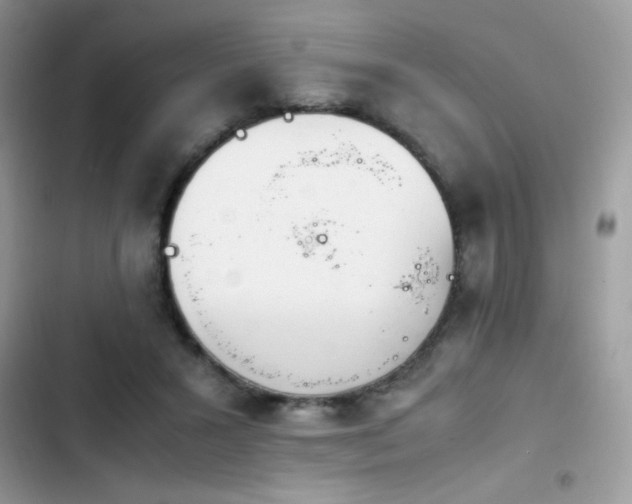X0000103940407200809191422